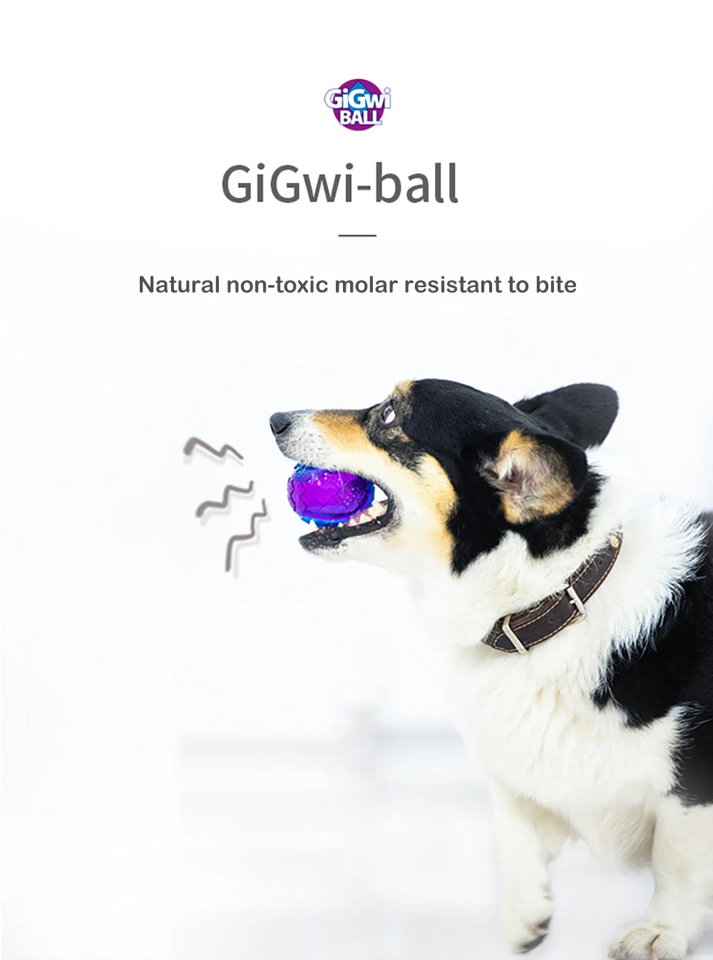 Natural Rubber Squeaky Chew Ball