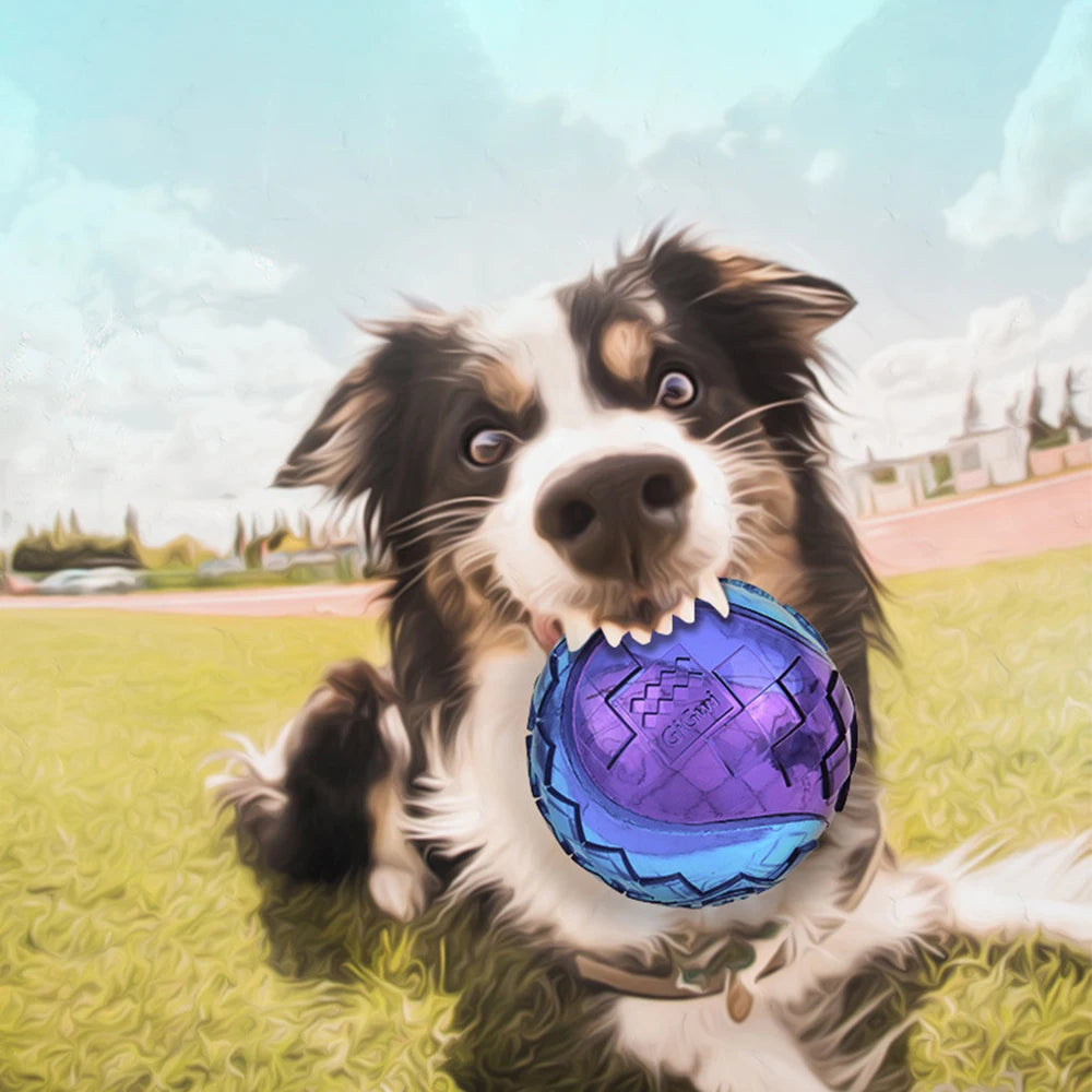 Natural Rubber Squeaky Chew Ball