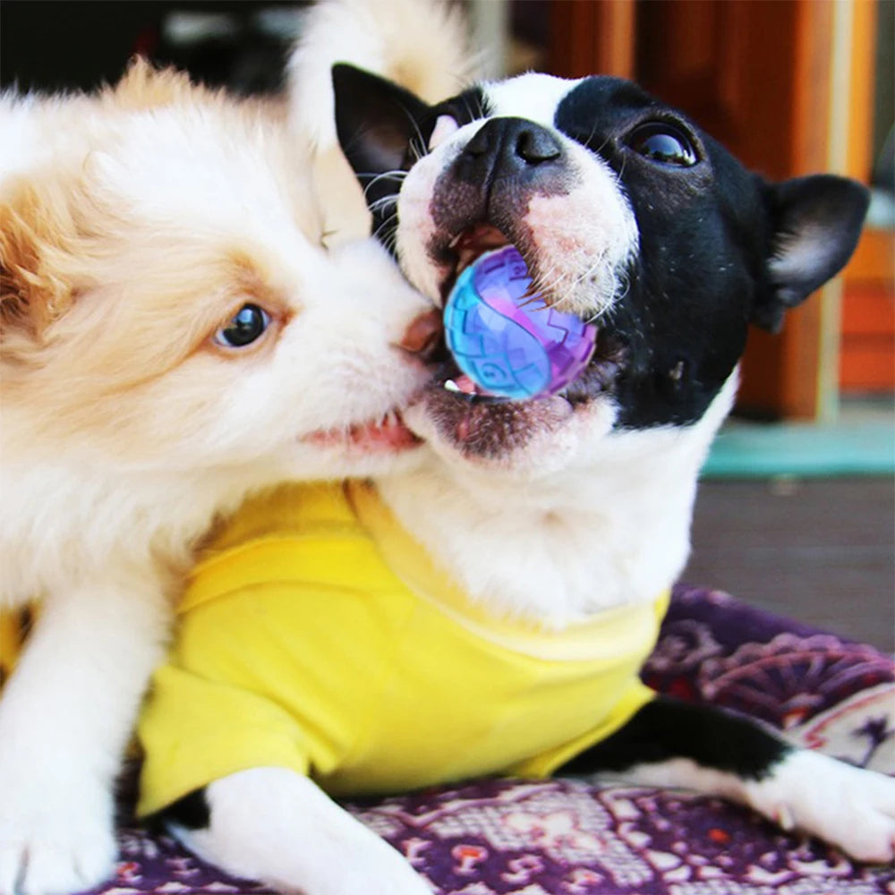 Natural Rubber Squeaky Chew Ball