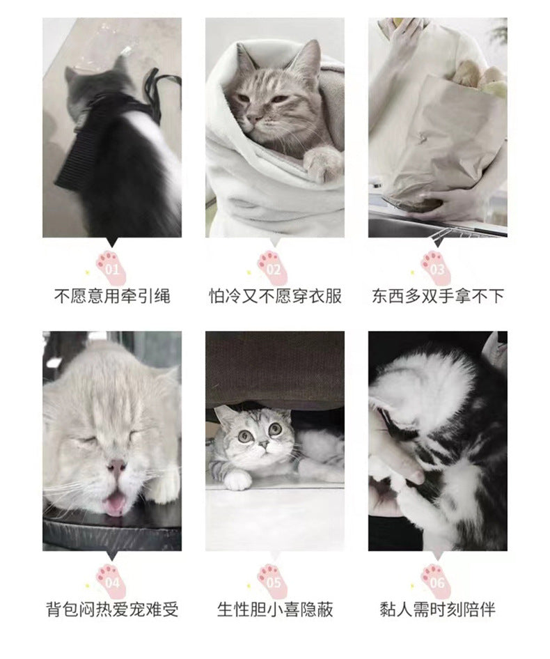 Foldable Breathable Pet Travel Handbag