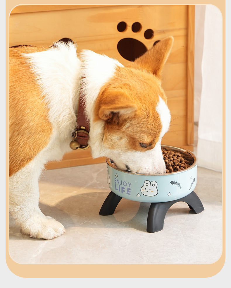 Elevated Ergonomic Cat Food Bowl