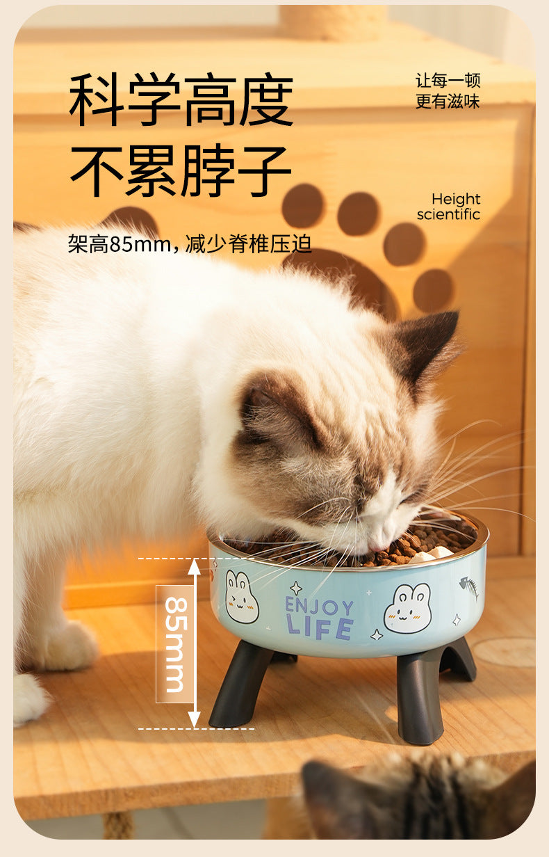 Elevated Ergonomic Cat Food Bowl