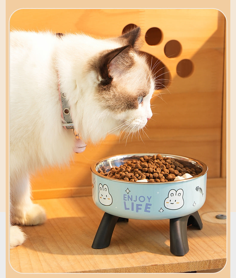 Elevated Ergonomic Cat Food Bowl