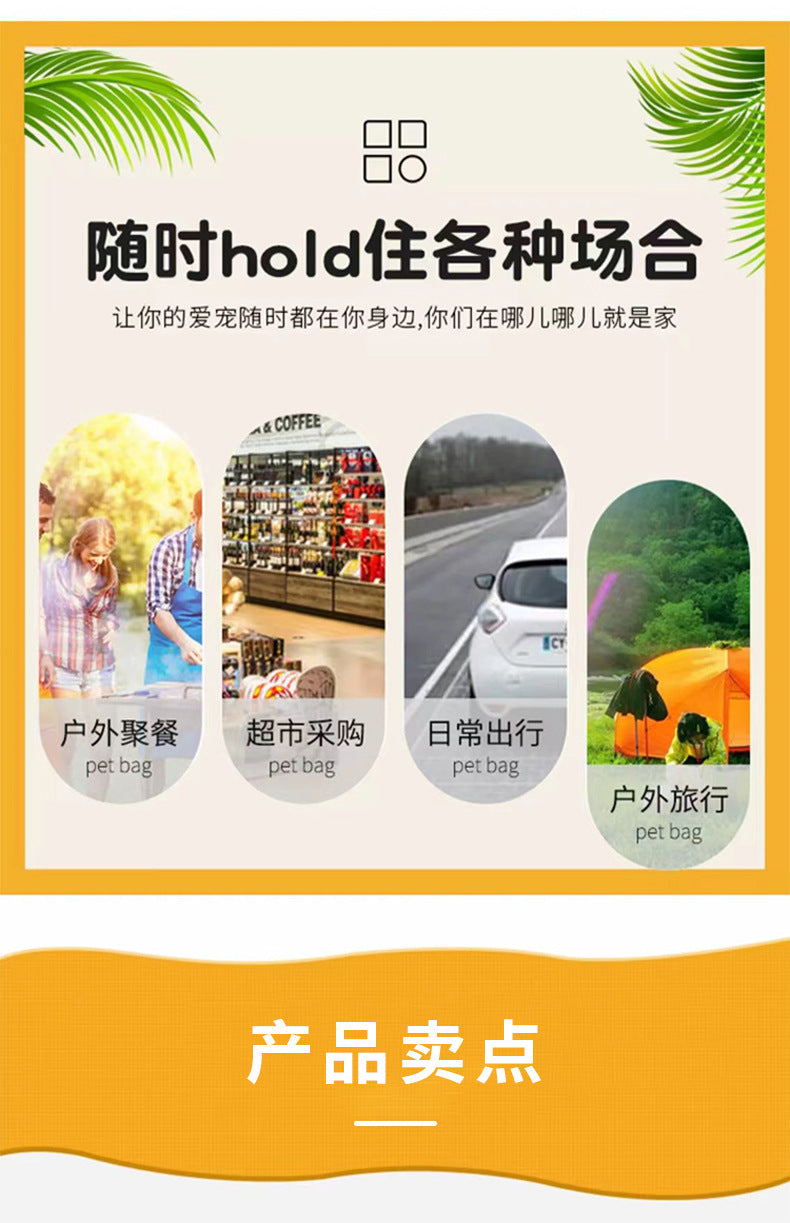 Foldable Breathable Pet Travel Handbag
