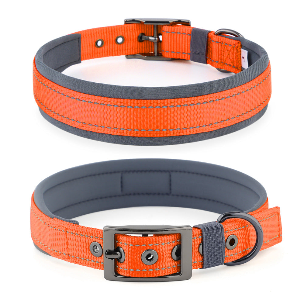 Wasserfestes Hundehalsband mit weicher Neoprenpolsterung