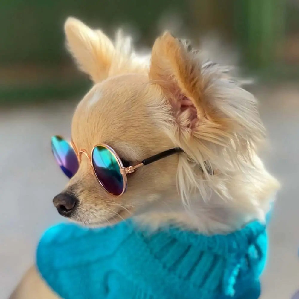 Round Funny Cat Accessories Decoration Reflection Lovely Eye Wear Sunglasses Pet Glasses Photos Props