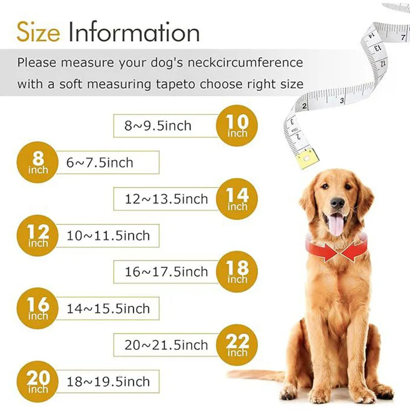 Dog Chain Diamond Collar Walking Metal Chain Necklace with Secure Buckle Pet Cuban Style Collar Jewelry Accessories for Dog Cats