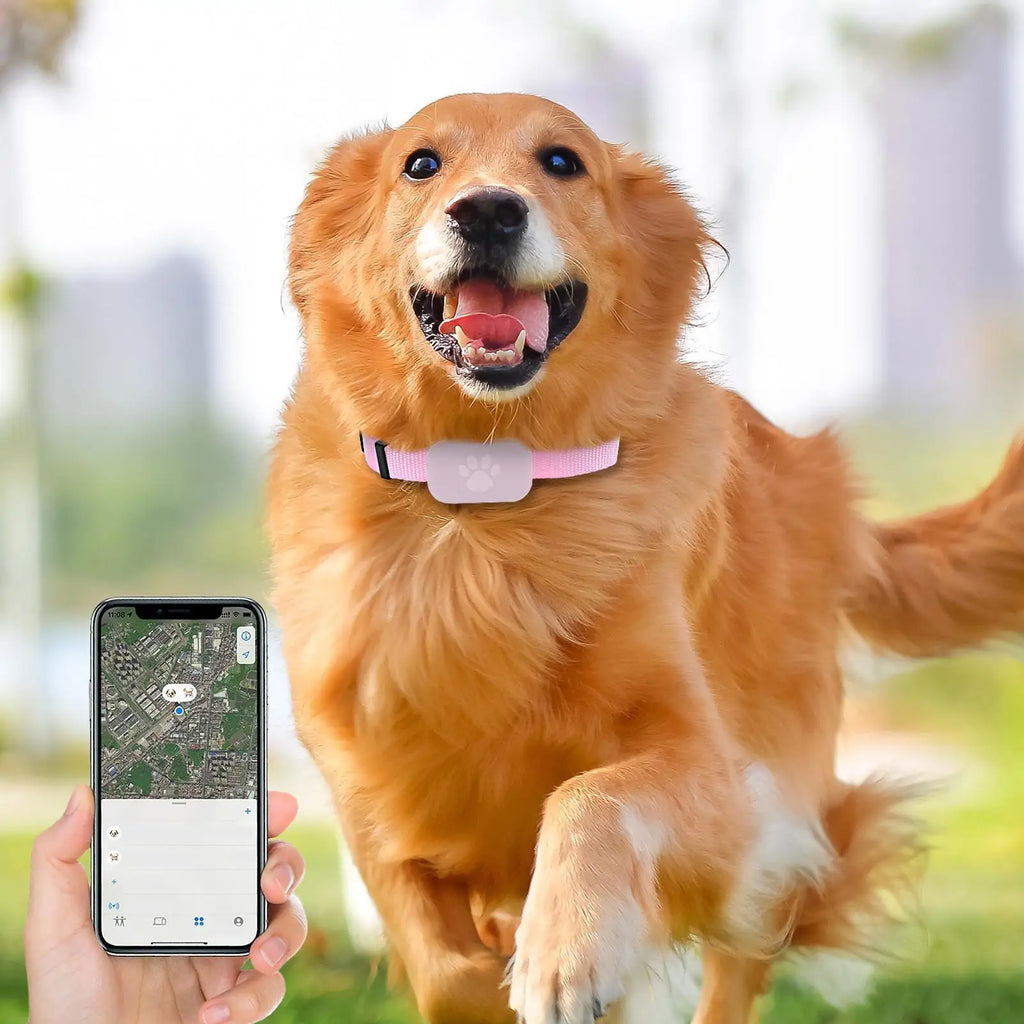 Cat Trackers Cat Tracker Collar Pet Kitten Collar Multifunctional Pet Smart Trackers Pets Accessories IOS Compatible