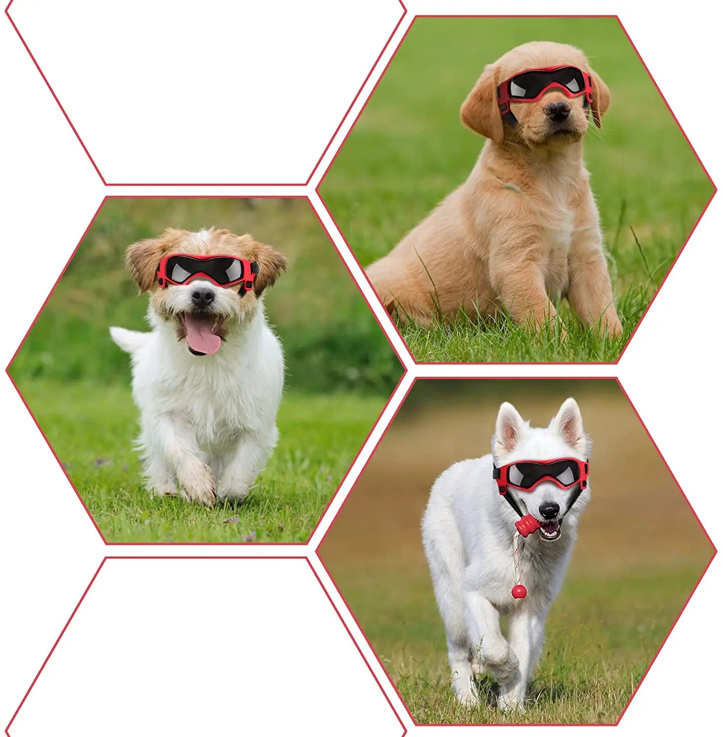 UV Protection Pet Goggles & Sunglasses