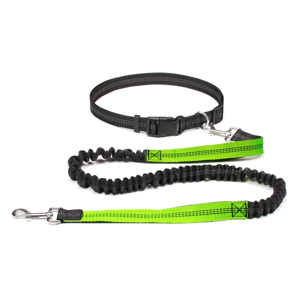 Hands-Free Reflective Dog Running Leash