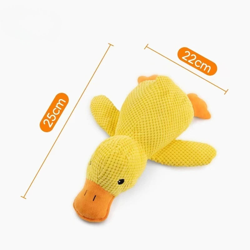 Squeaky Plush Interactive Chew Toy