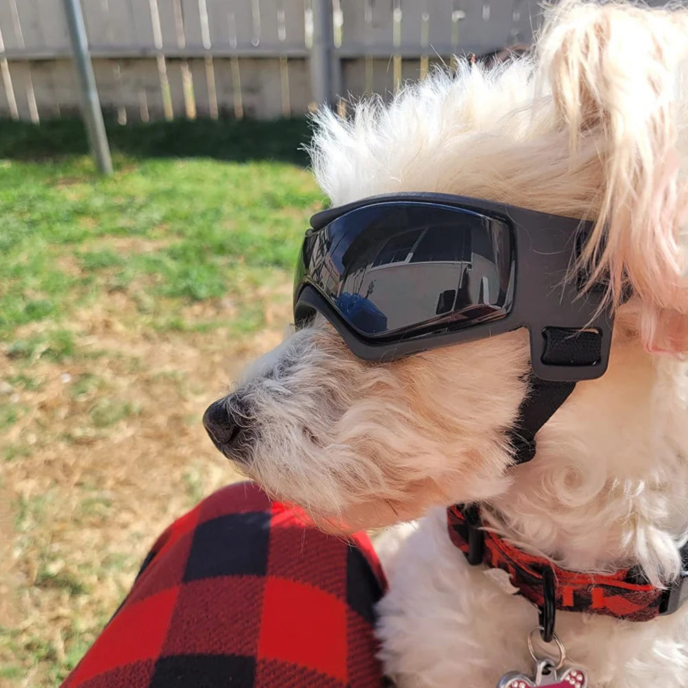 UV Protection Pet Goggles & Sunglasses