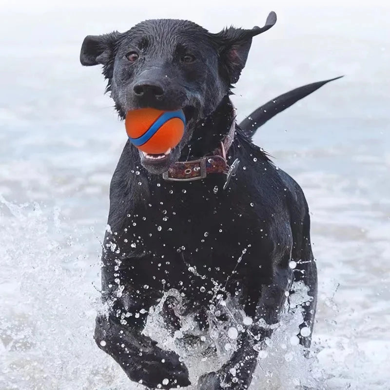 Durable Solid Elastic Fetch Dog Ball