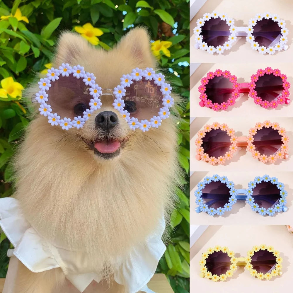 Pet Accessories Flower Sunglasses Circular Role Playing Glasses Photo Props Glasses For Cats And Small And Paracord Dog Leash