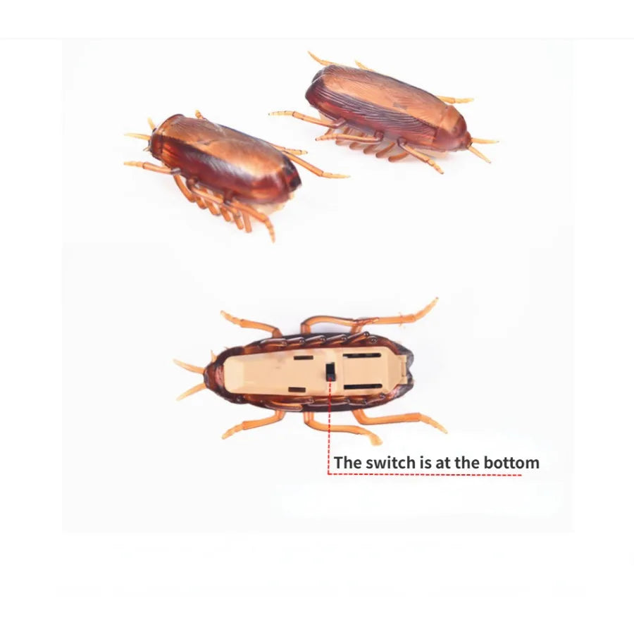 Funny Simulation Cockroach Interactive Pet Toy