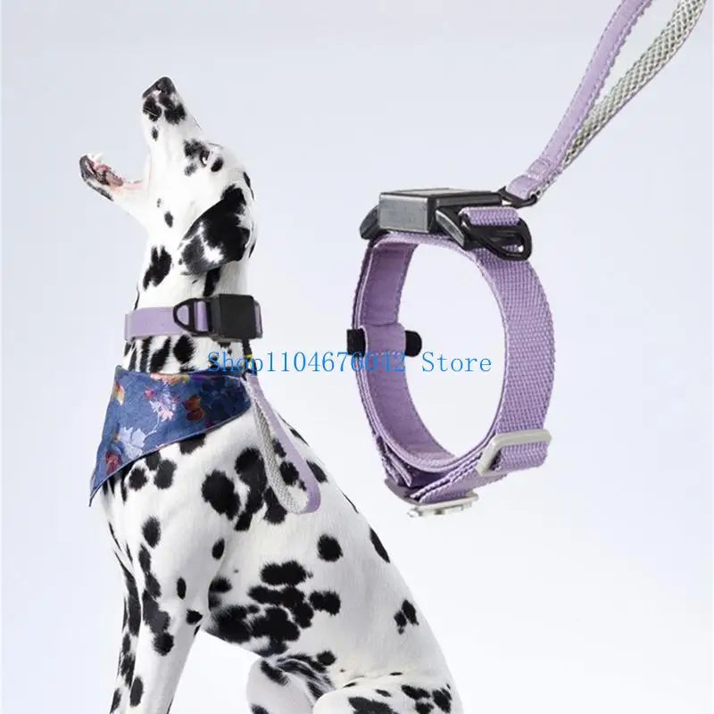 5asd Telescopic Dog Leash Collar Set   For Pet  Walking Rope