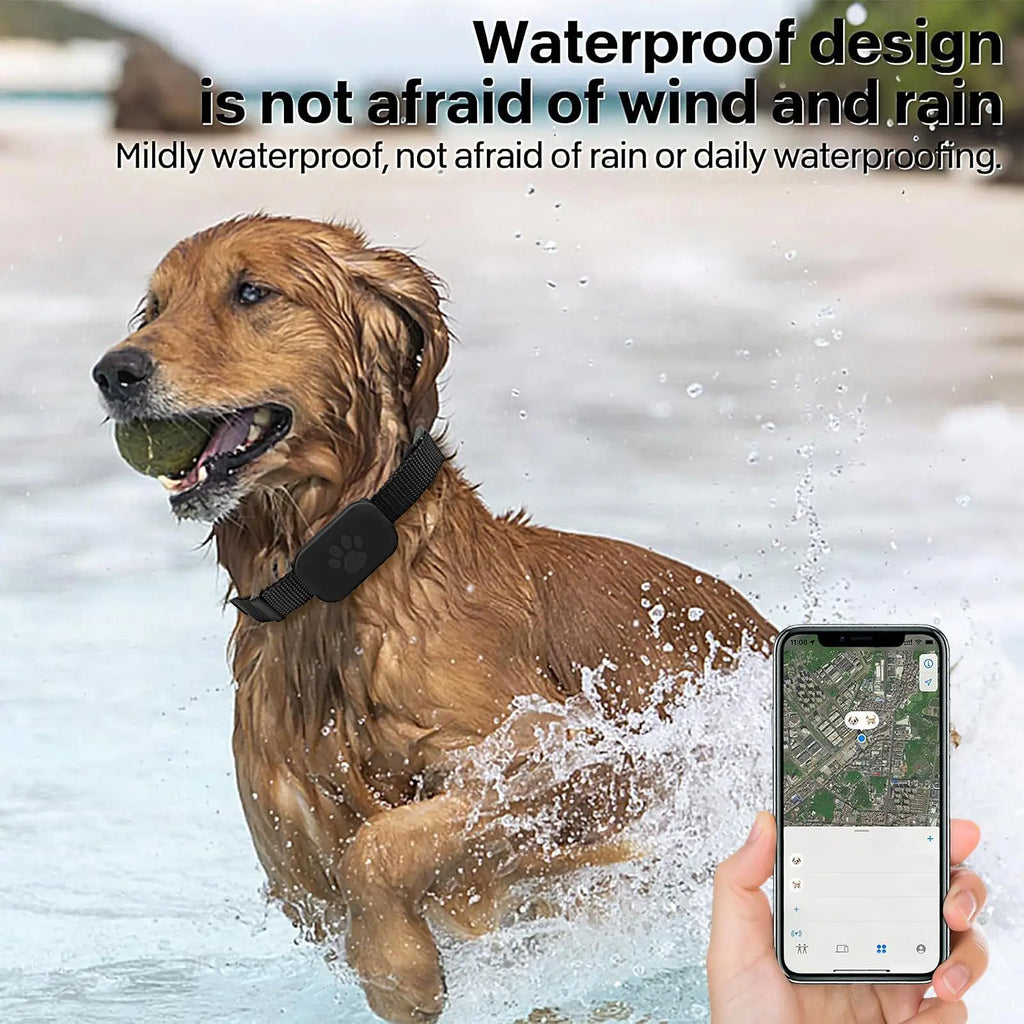 Cat Trackers Cat Tracker Collar Pet Kitten Collar Multifunctional Pet Smart Trackers Pets Accessories IOS Compatible