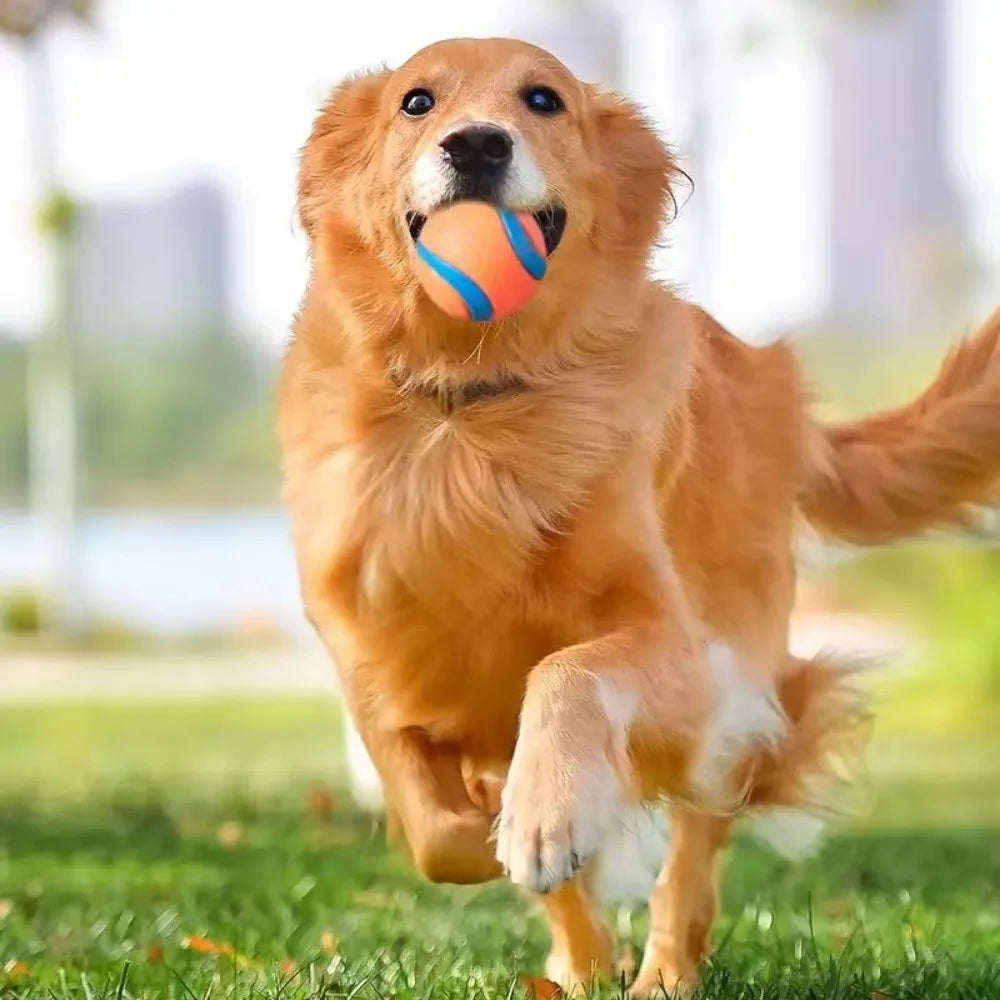 Durable Solid Elastic Fetch Dog Ball