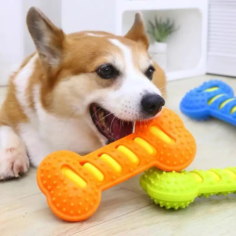 Durable Squeaky Rubber Bone Toy