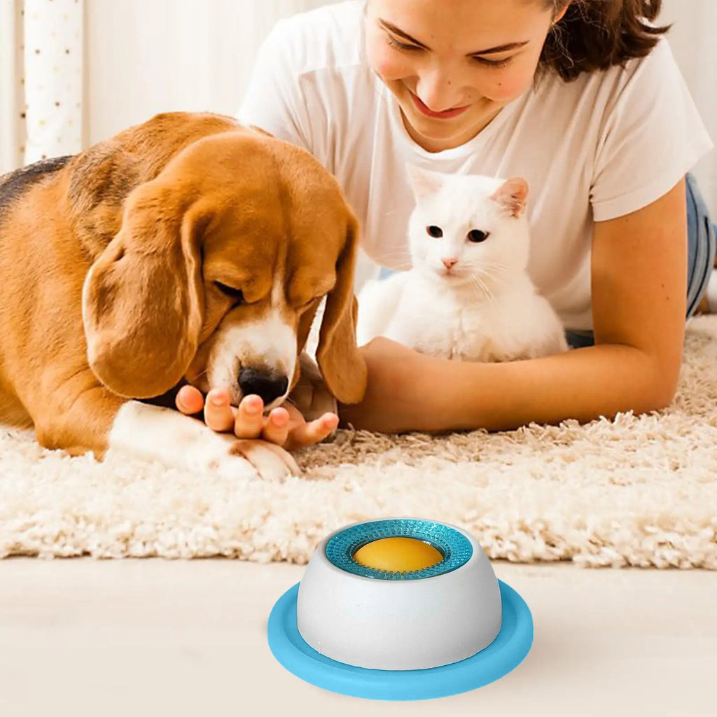Interactive Slow Feeder Puzzle Toy