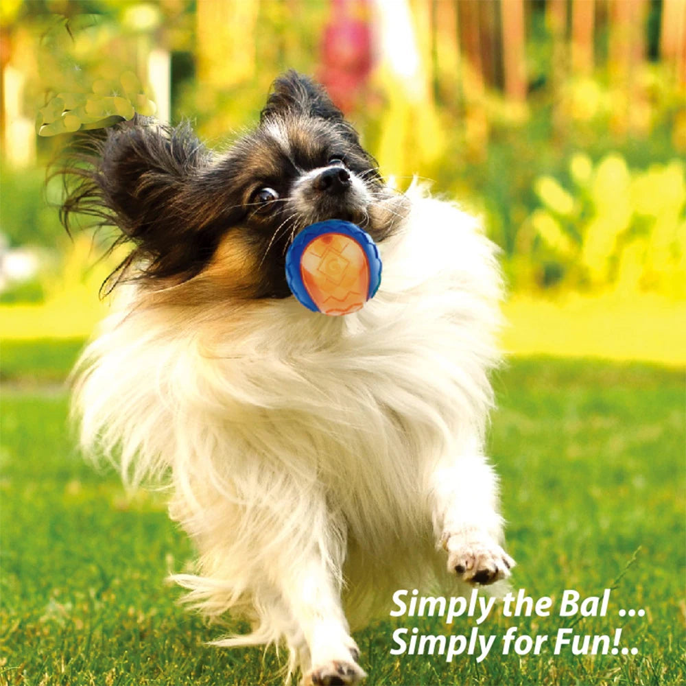 Natural Rubber Squeaky Chew Ball