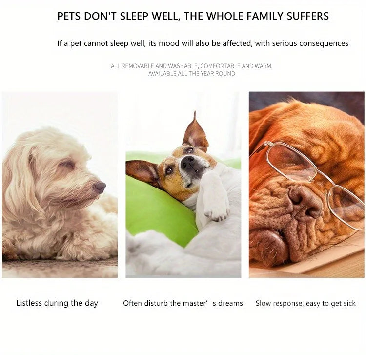 Cozy Winter Plush Pet Sofa Bed