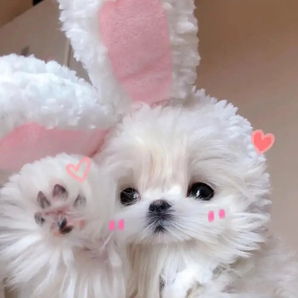 Cat Decorative Pet Products New Warm Cat Head Cover Rabbit Ear Plush Hat Lamb Accessories Pet Hat Cat Clothes  S9M7