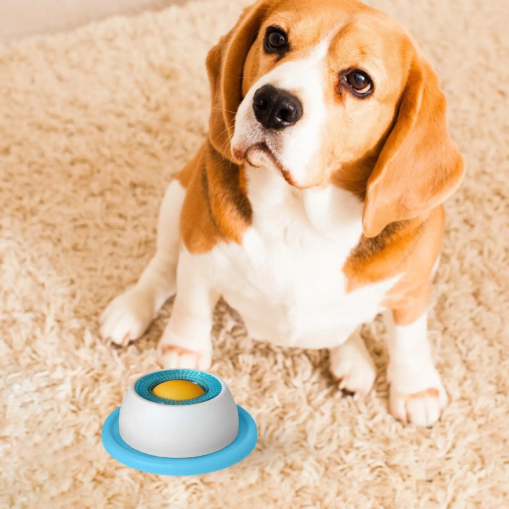 Interactive Slow Feeder Puzzle Toy