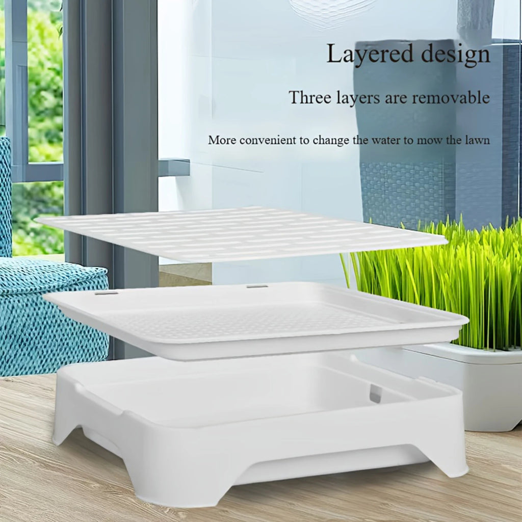 Soilless Hydroponic Cat Grass Planter