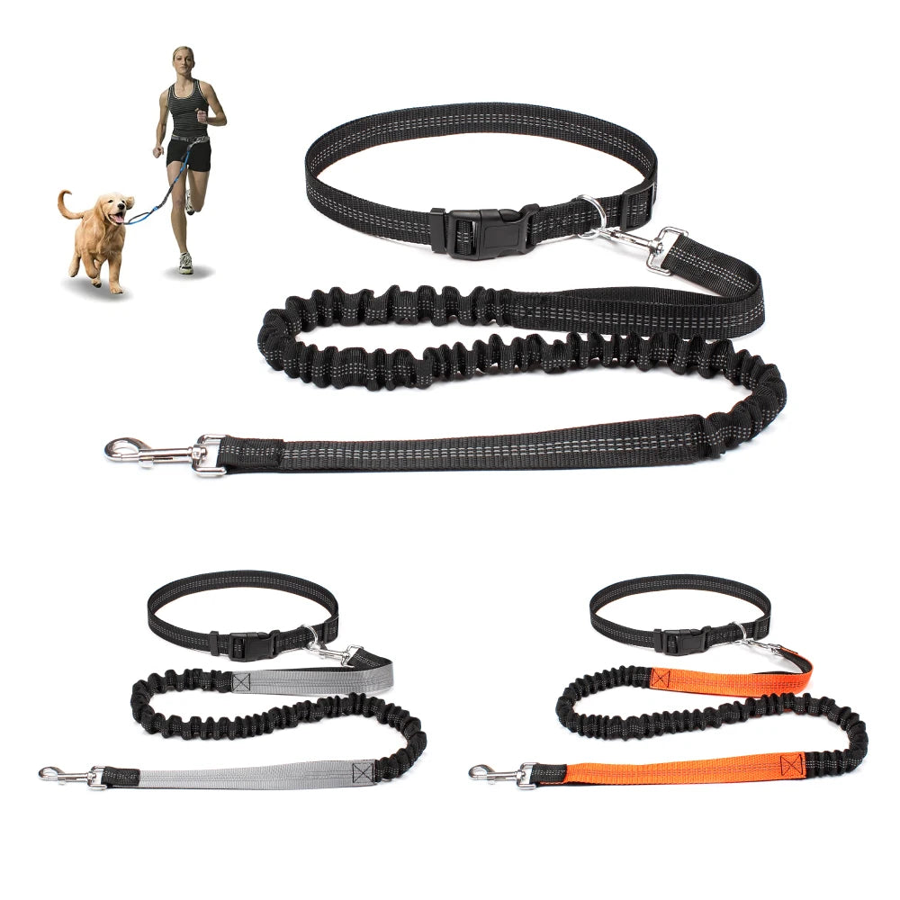 Hands-Free Reflective Dog Running Leash