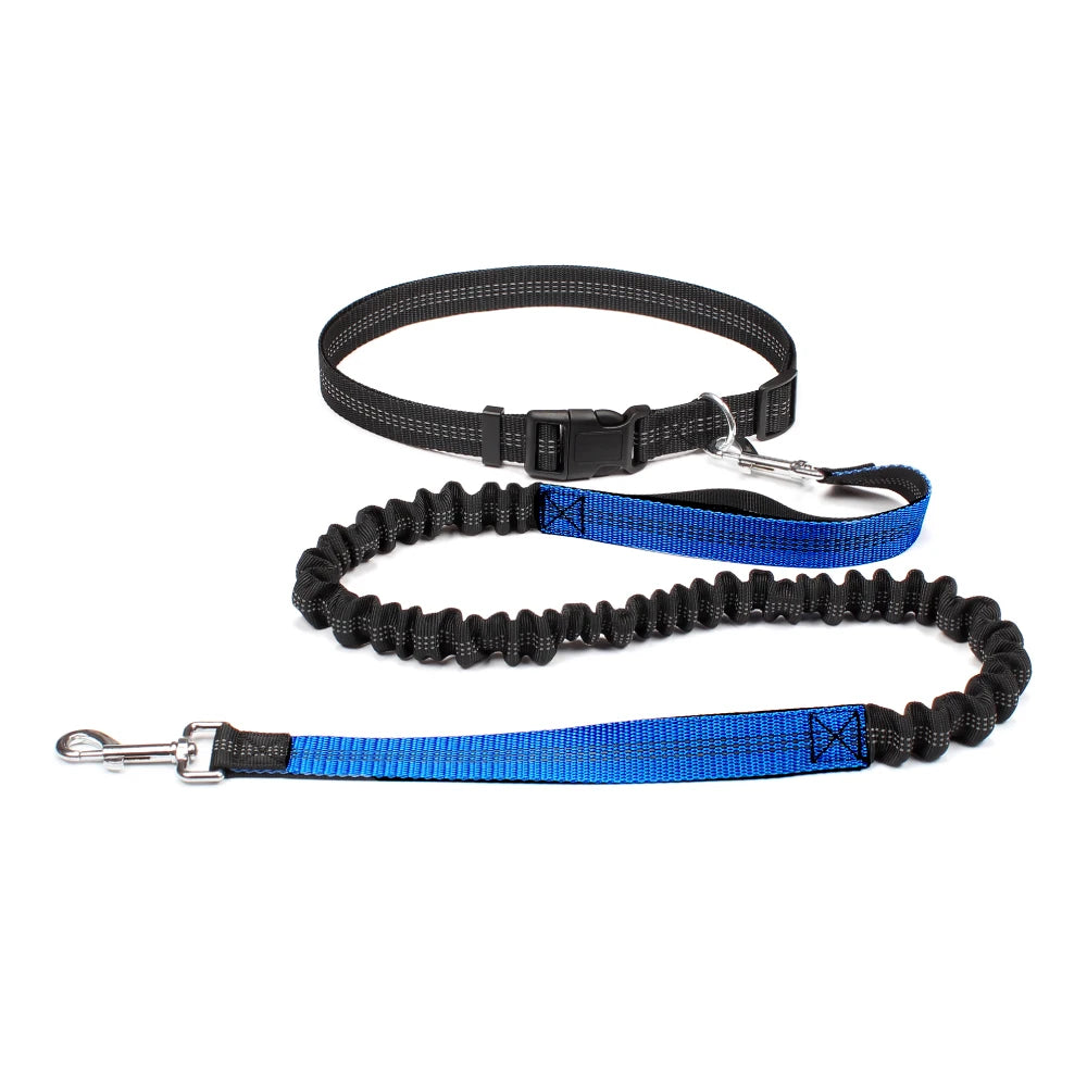 Hands-Free Reflective Dog Running Leash