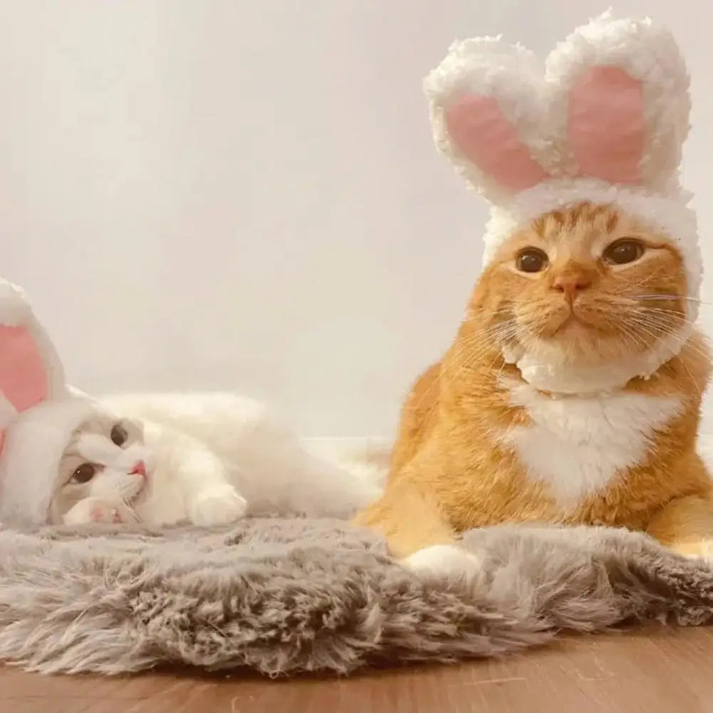 Cat Decorative Pet Products New Warm Cat Head Cover Rabbit Ear Plush Hat Lamb Accessories Pet Hat Cat Clothes  S9M7