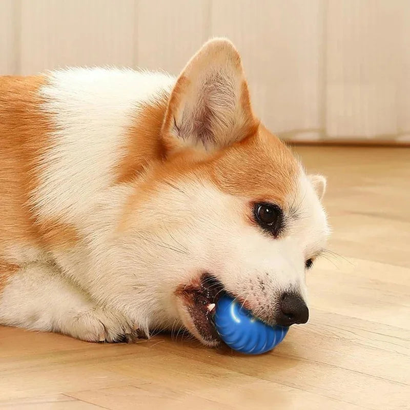 Pelota interactiva electrónica inteligente para perros que rebota