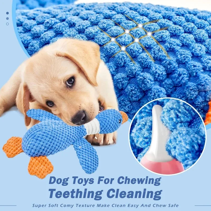 Squeaky Plush Interactive Chew Toy