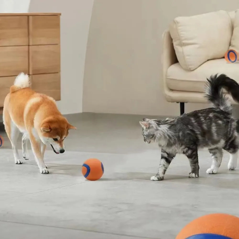 Durable Solid Elastic Fetch Dog Ball