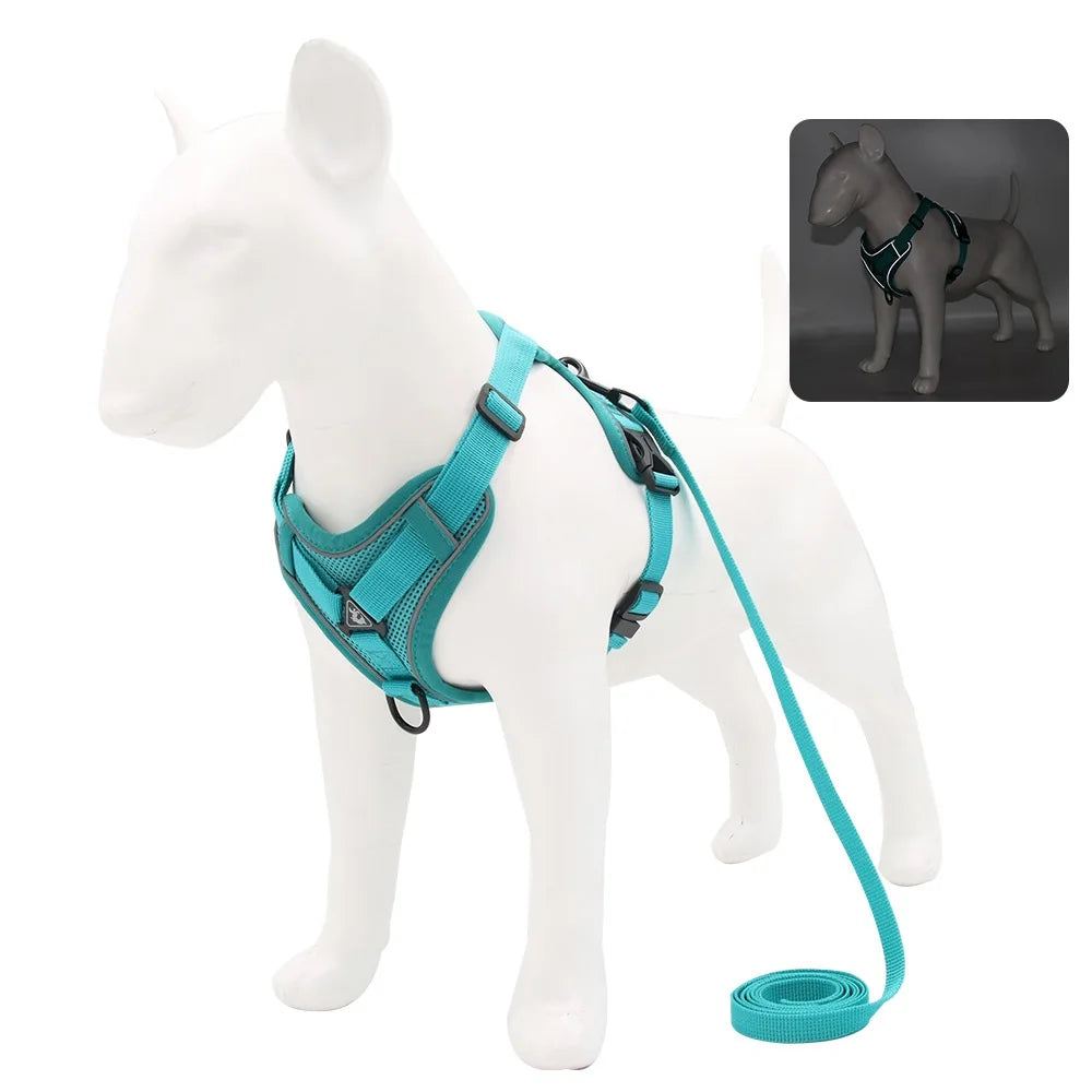 No-Pull Breathable Dog Harness & Leash Set