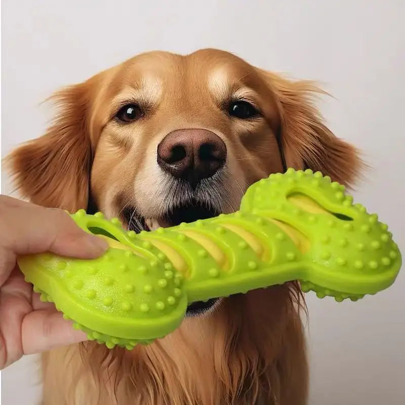 Durable Squeaky Rubber Bone Toy