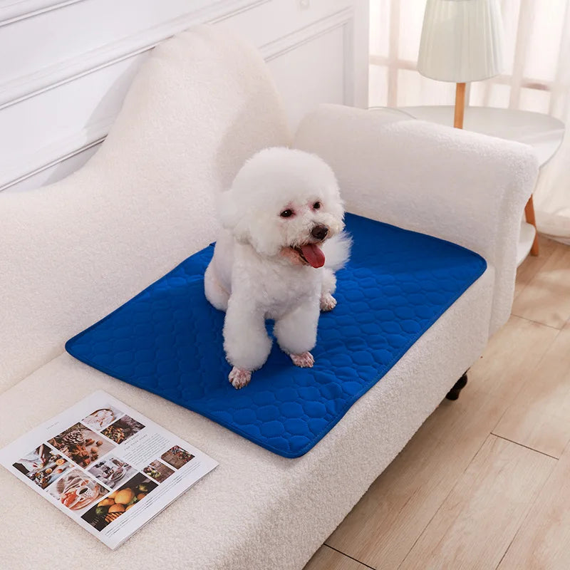 Reusable Washable Absorbent Pet Pee Pad
