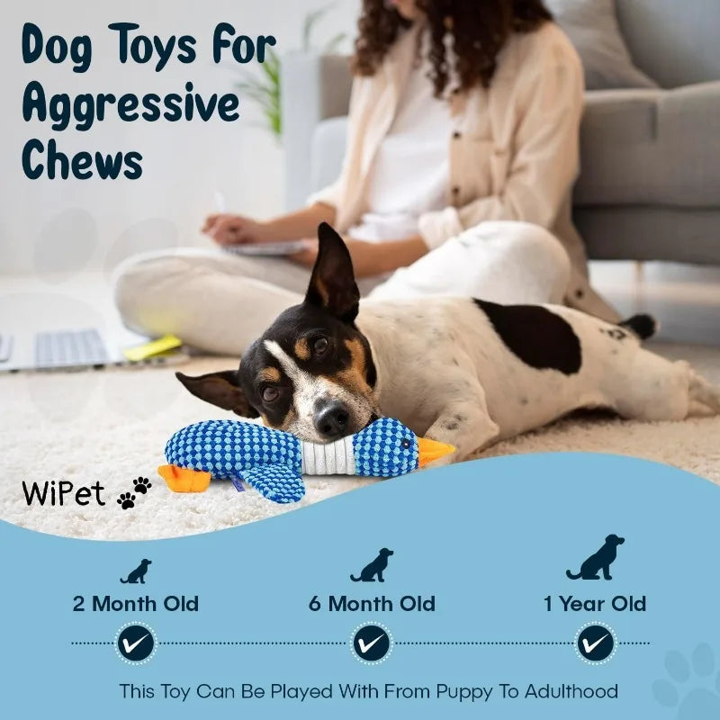 Squeaky Plush Interactive Chew Toy