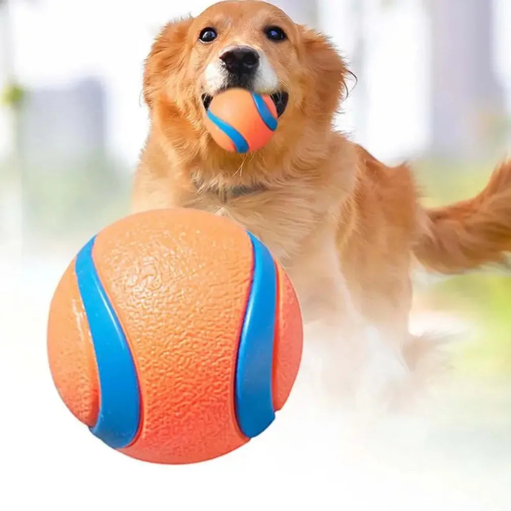 Durable Solid Elastic Fetch Dog Ball