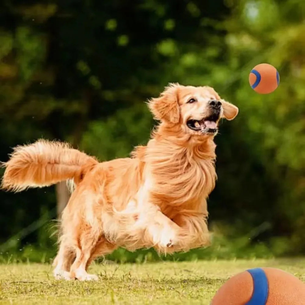 Durable Solid Elastic Fetch Dog Ball