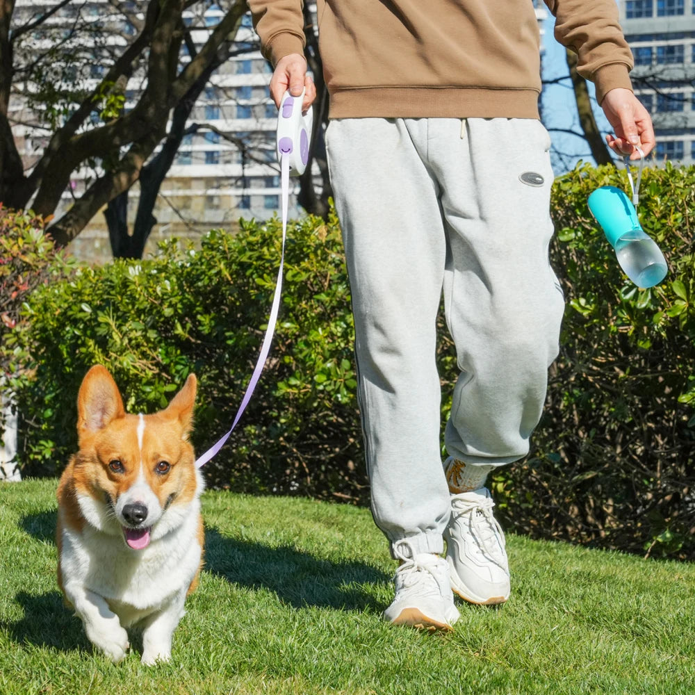 Portable 300ml Pet Travel Water Bottle