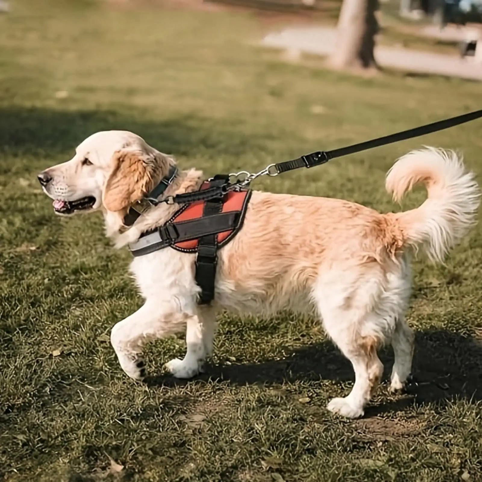 Dog Collar Safety Clip Double End Adjustable No Pull Connector Harness Safety Strap Puppy Kitten Small Medium Dogs Walking Park