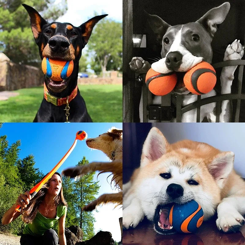 Durable Solid Elastic Fetch Dog Ball
