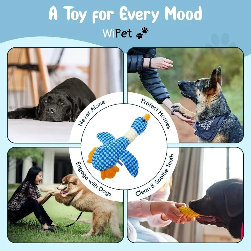 Squeaky Plush Interactive Chew Toy