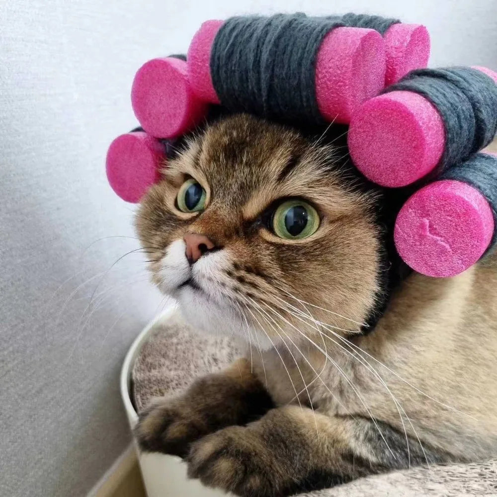 Interesting Curly PetS Hat Suitable for Cats and Dogs Adjustable for Halloween and Christmas Cat Accessories Pet Hats for Cats