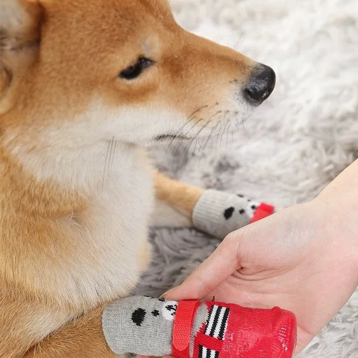 Pet Dog Shoes Socks And Harness For A Small Dog Warm Waterproof Non Slip Boots As Cat Necklace Accessories For Both Cats And Dog