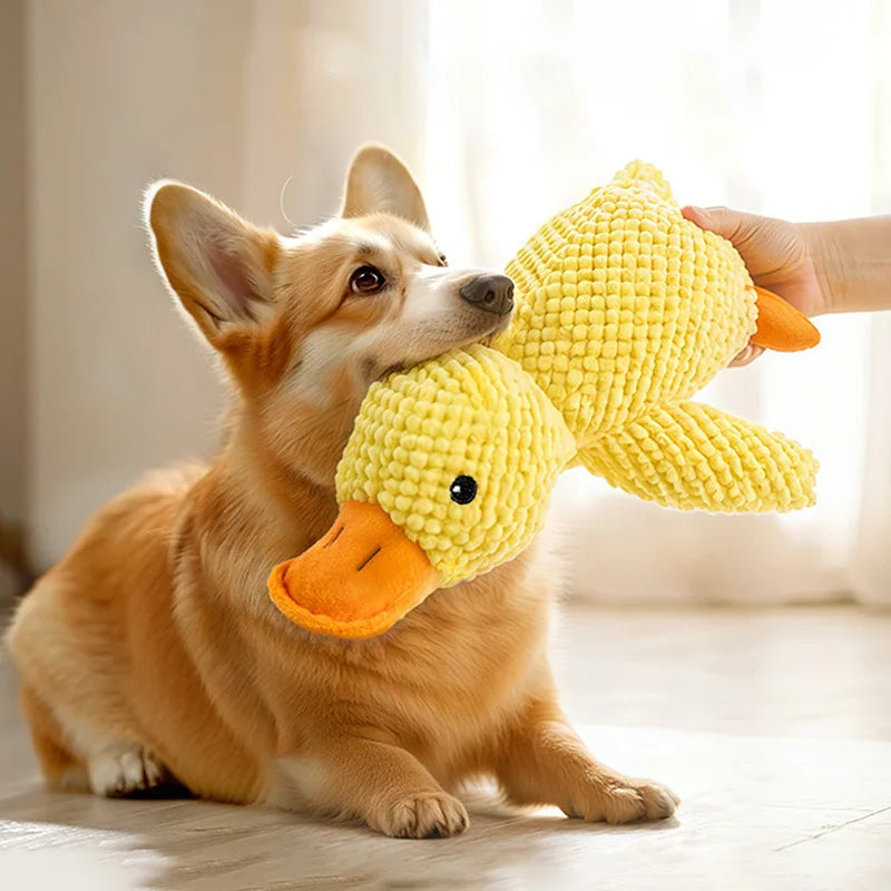 Squeaky Plush Interactive Chew Toy