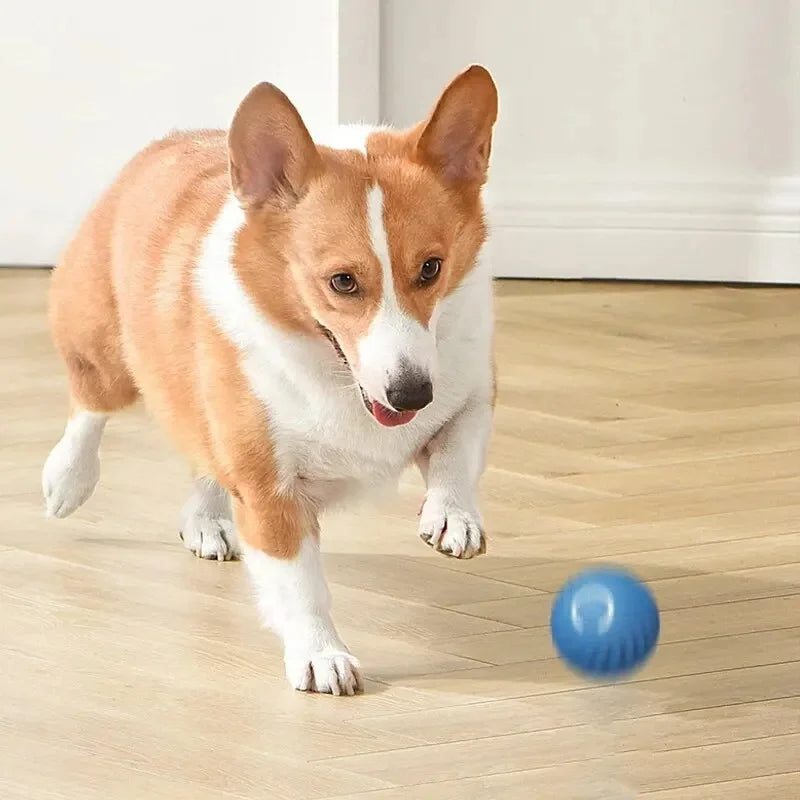 Pelota interactiva electrónica inteligente para perros que rebota