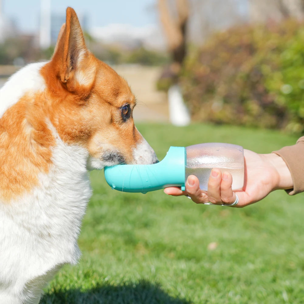Portable 300ml Pet Travel Water Bottle